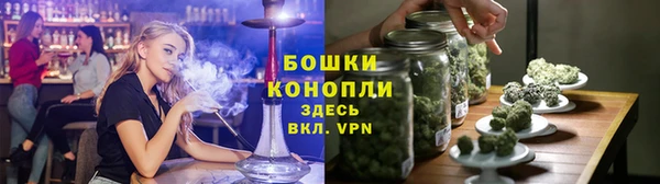 амф Аркадак