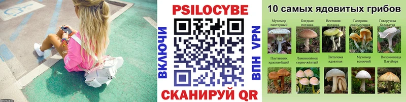 Псилоцибиновые грибы GOLDEN TEACHER  Ухта 